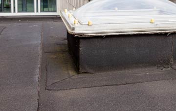 disadvantages of Newhouses flat roofs