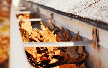 Newhouses gutter cleaning companies
