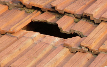 roof repair Newhouses, Scottish Borders
