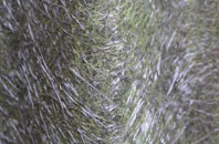 Newhouses fibreglass roof work