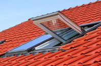 Newhouses roof window